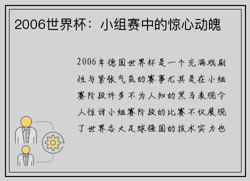 2006世界杯：小组赛中的惊心动魄